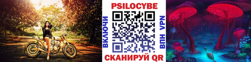 наркошоп  darknet официальный сайт  Псилоцибиновые грибы мухоморы  Пугачёв 
