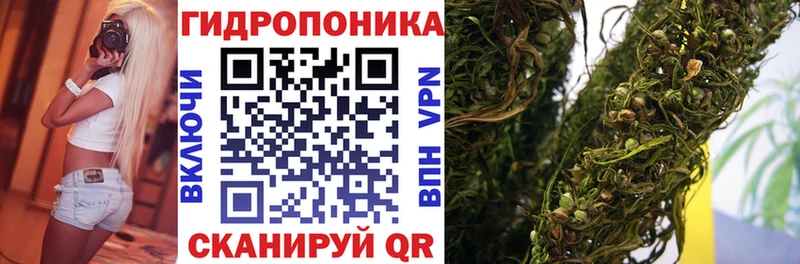 Бошки марихуана White Widow  Пугачёв 